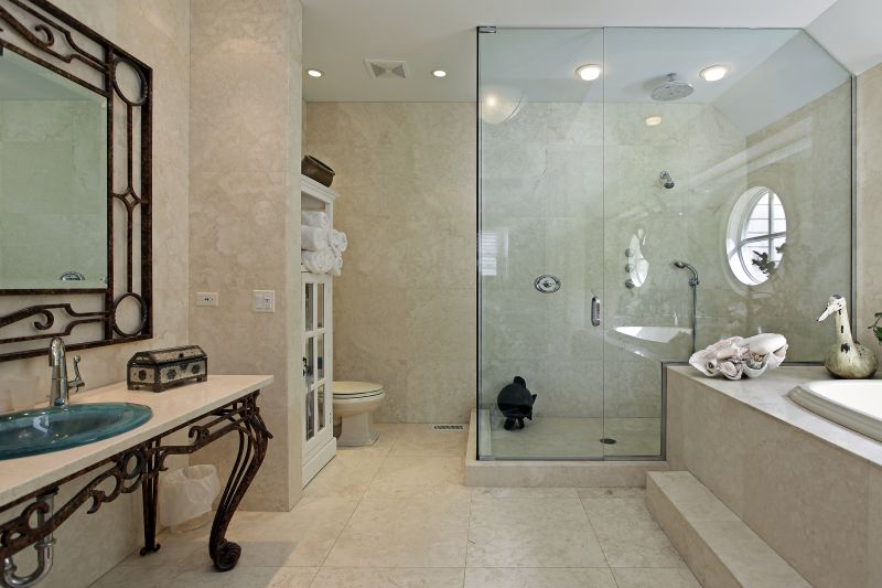Elegant Shower Space
